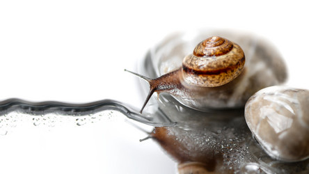 Similar image 21534235