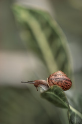 Similar image 21529554