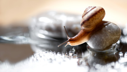 Similar image 21531059