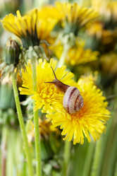 Similar image 21529592