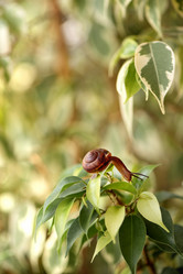 Similar image 21529593