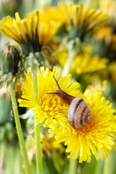 Similar image 21531060