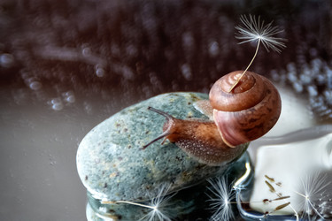 Similar image 21530474