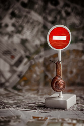 Similar image 21530720