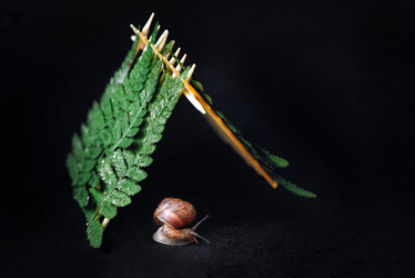 Similar image 21530721