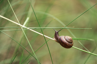 Similar image 21539284