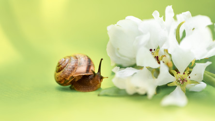 Similar image 21531512