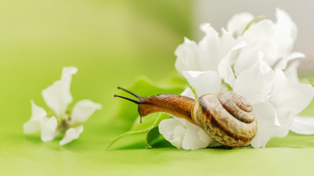 Similar image 21529601