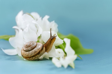 Similar image 21529602