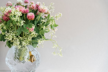 Similar image 21530600