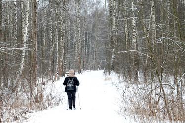 Similar image 21529376