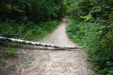 Similar image 21528850