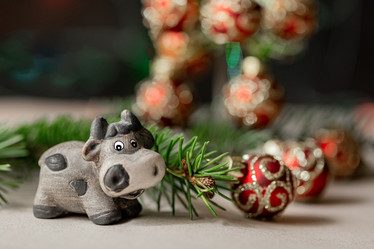 Similar image 21529384