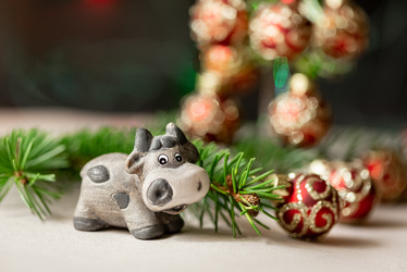 Similar image 21530484