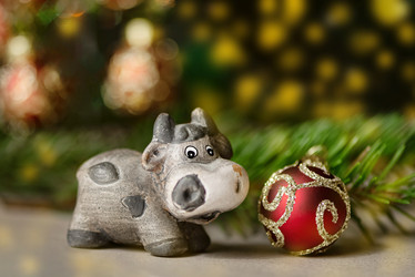 Similar image 21531071