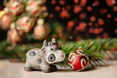 Similar image 21529386