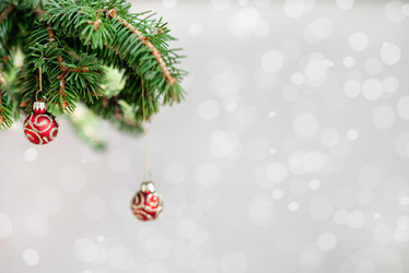 Similar image 21534258