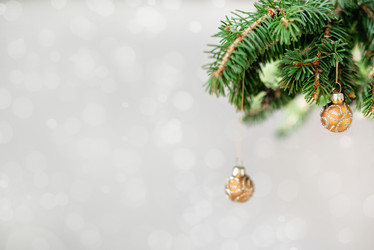 Similar image 21531072