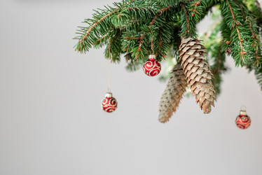 Similar image 21531473