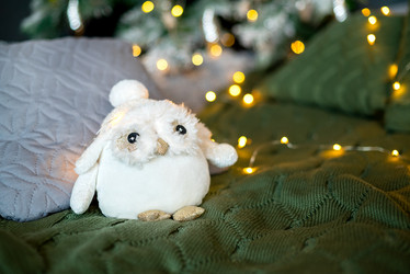 Similar image 21531073