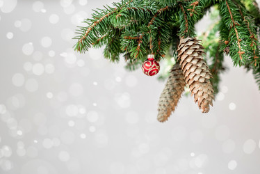 Similar image 21531074