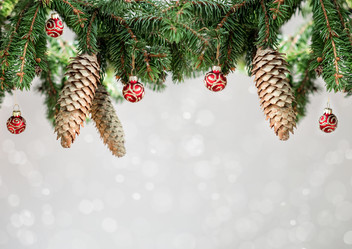 Similar image 21530490