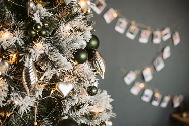 Similar image 21530491