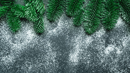 Similar image 21529556