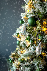 Similar image 21529558