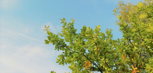 Similar image 21529296