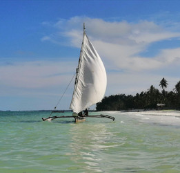 Similar image 21530136