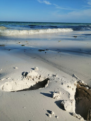 Similar image 21529279