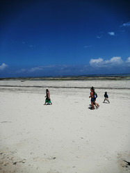 Similar image 21530137