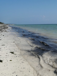 Similar image 21529280