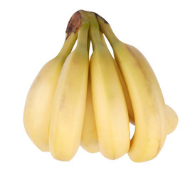 Similar image 21530613