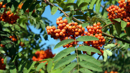 Similar image 21530620