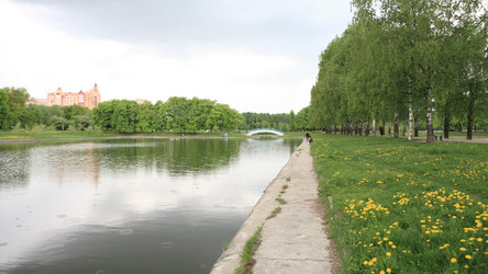 Similar image 21530638