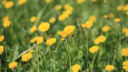 Similar image 21530915