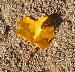 Similar image 21530924