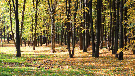 Similar image 21530925