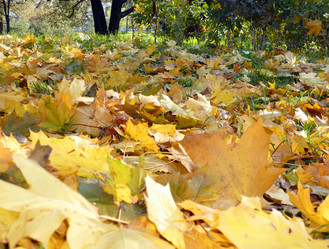 Similar image 21530928