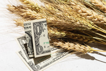 Similar image 21529250