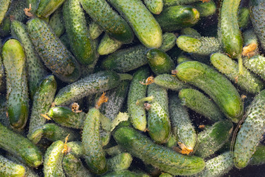 Similar image 21529269