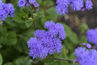 Similar image 21529397