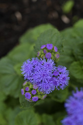 Similar image 21529400