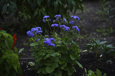 Similar image 21529401