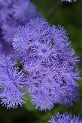 Similar image 21529409