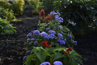 Similar image 21529413