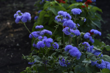 Similar image 21529414