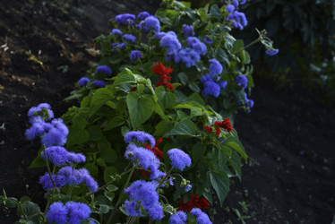 Similar image 21529416